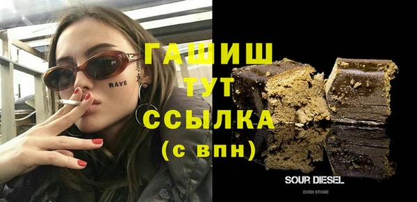 шишки Новодвинск