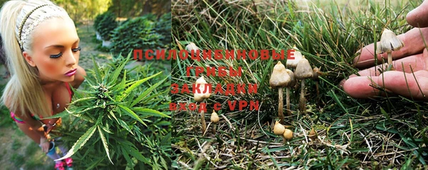 ALPHA-PVP Абинск