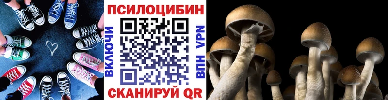 Псилоцибиновые грибы мухоморы Котельнич